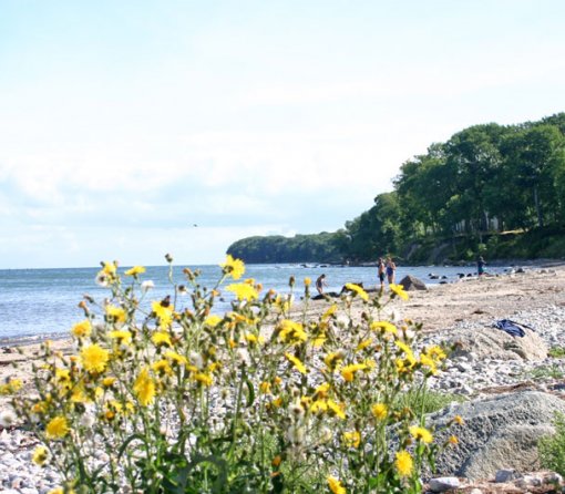 Gahlendorfer Strand