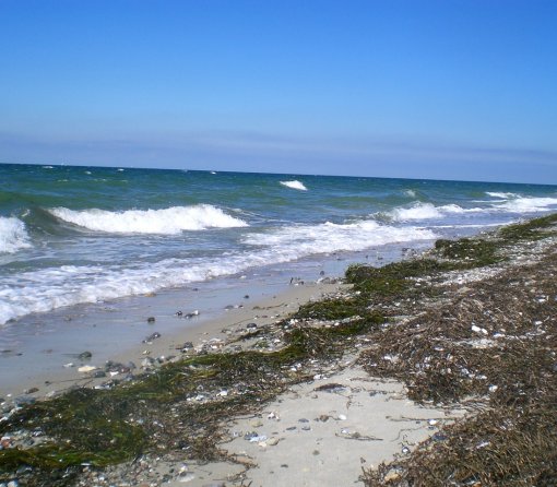 Küste
